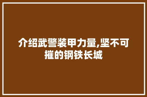 介绍武警装甲力量,坚不可摧的钢铁长城