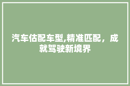 汽车估配车型,精准匹配，成就驾驶新境界