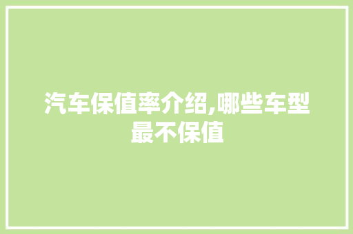 汽车保值率介绍,哪些车型最不保值