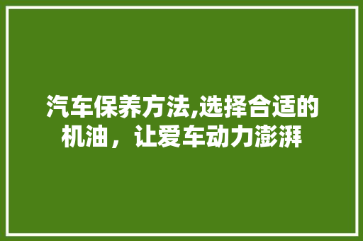 汽车保养方法,选择合适的机油，让爱车动力澎湃