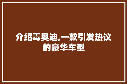 介绍毒奥迪,一款引发热议的豪华车型