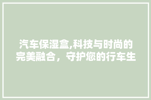 汽车保湿盒,科技与时尚的完美融合，守护您的行车生活
