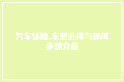 汽车保险,车型选择与保障步骤介绍 蓄电池配件