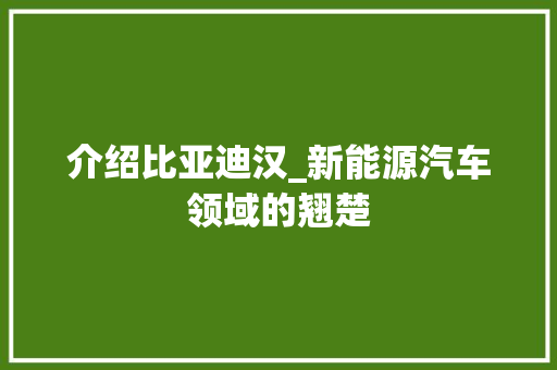 介绍比亚迪汉_新能源汽车领域的翘楚