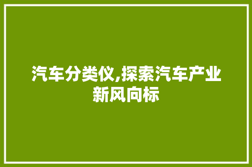 汽车分类仪,探索汽车产业新风向标