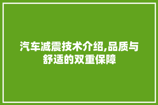 汽车减震技术介绍,品质与舒适的双重保障