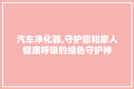 汽车净化器,守护您和家人健康呼吸的绿色守护神