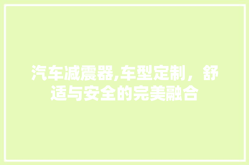 汽车减震器,车型定制，舒适与安全的完美融合