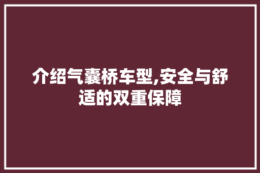 介绍气囊桥车型,安全与舒适的双重保障
