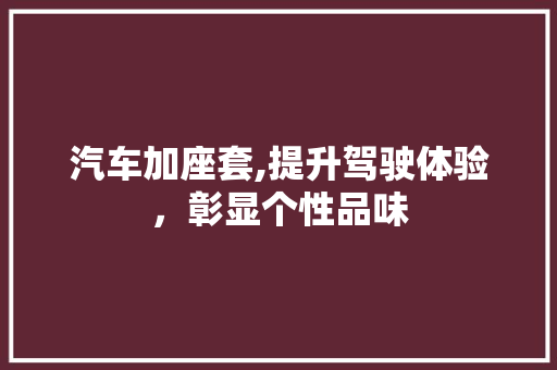 汽车加座套,提升驾驶体验，彰显个性品味