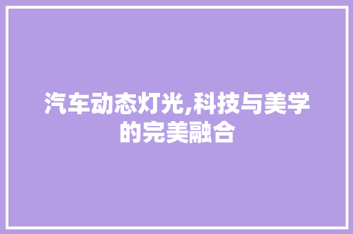 汽车动态灯光,科技与美学的完美融合