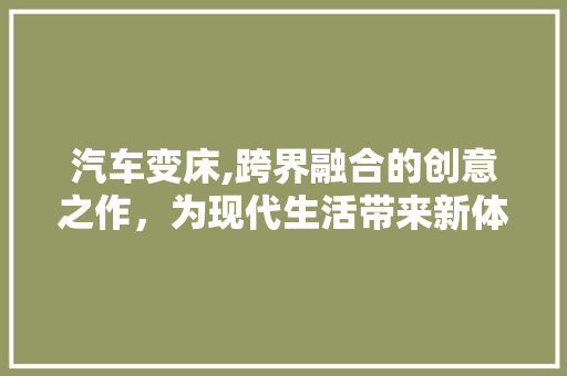 汽车变床,跨界融合的创意之作，为现代生活带来新体验