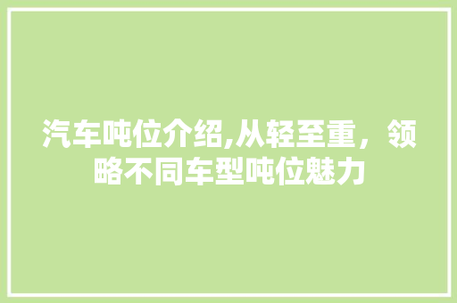 汽车吨位介绍,从轻至重，领略不同车型吨位魅力