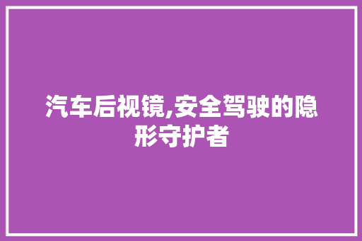 汽车后视镜,安全驾驶的隐形守护者