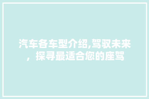 汽车各车型介绍,驾驭未来，探寻最适合您的座驾