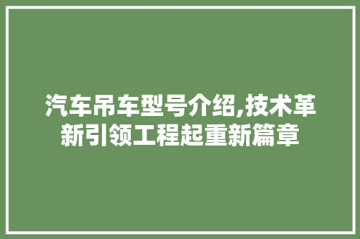 汽车吊车型号介绍,技术革新引领工程起重新篇章