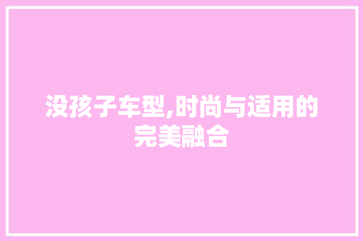 没孩子车型,时尚与适用的完美融合