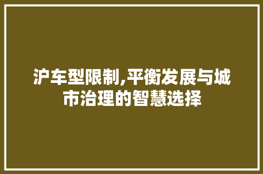 沪车型限制,平衡发展与城市治理的智慧选择