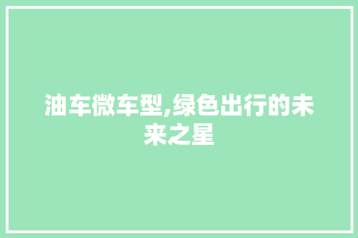 油车微车型,绿色出行的未来之星