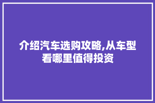 介绍汽车选购攻略,从车型看哪里值得投资
