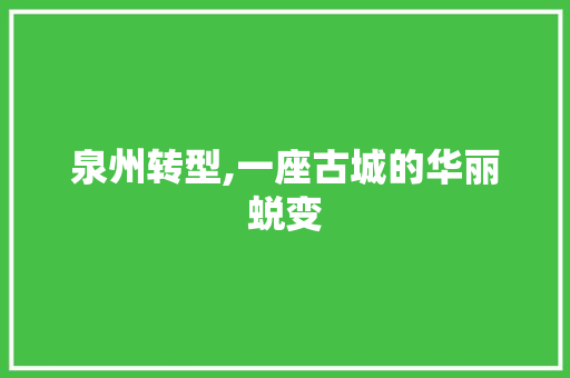 泉州转型,一座古城的华丽蜕变