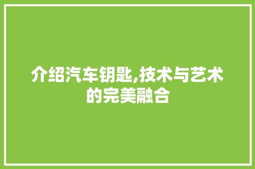 介绍汽车钥匙,技术与艺术的完美融合