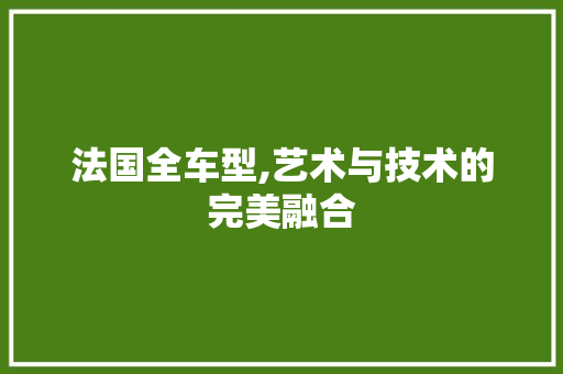 法国全车型,艺术与技术的完美融合