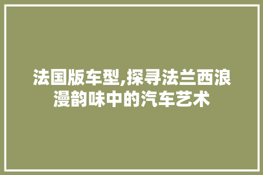 法国版车型,探寻法兰西浪漫韵味中的汽车艺术