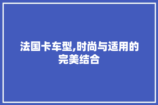 法国卡车型,时尚与适用的完美结合