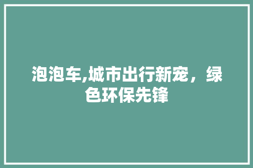 泡泡车,城市出行新宠，绿色环保先锋