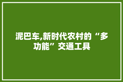 泥巴车,新时代农村的“多功能”交通工具