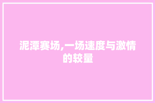 泥潭赛场,一场速度与激情的较量