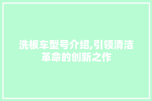 洗板车型号介绍,引领清洁革命的创新之作