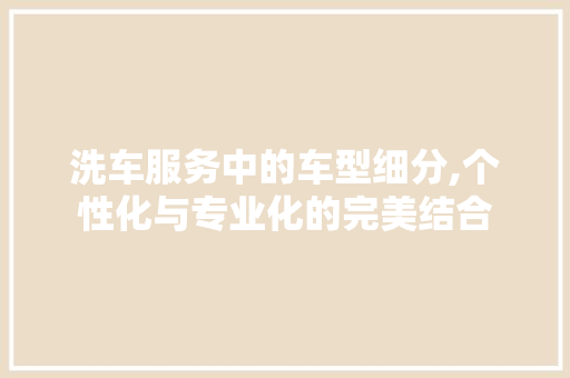 洗车服务中的车型细分,个性化与专业化的完美结合