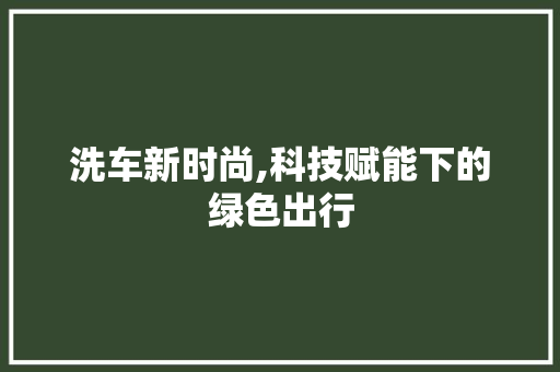 洗车新时尚,科技赋能下的绿色出行
