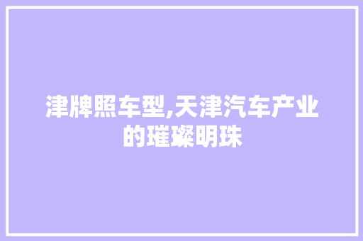 津牌照车型,天津汽车产业的璀璨明珠