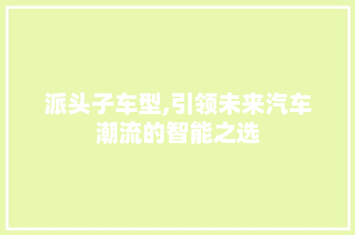 派头子车型,引领未来汽车潮流的智能之选