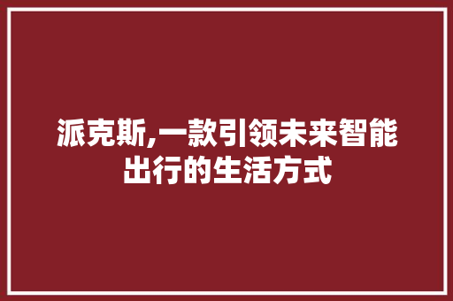 派克斯,一款引领未来智能出行的生活方式