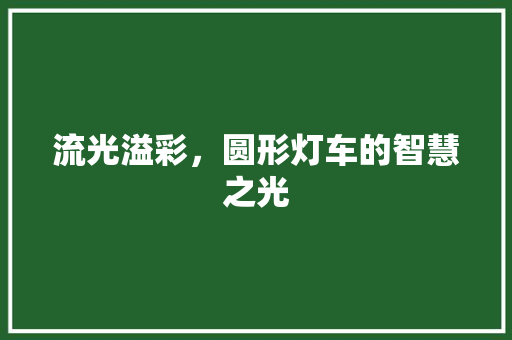 流光溢彩，圆形灯车的智慧之光