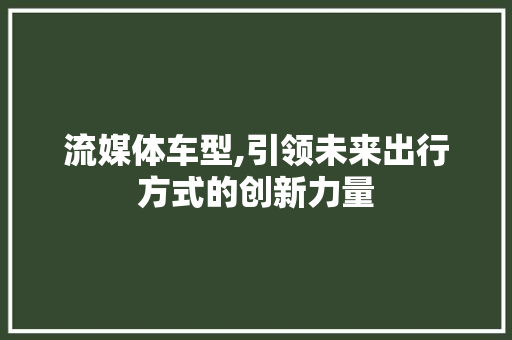 流媒体车型,引领未来出行方式的创新力量