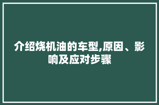 介绍烧机油的车型,原因、影响及应对步骤