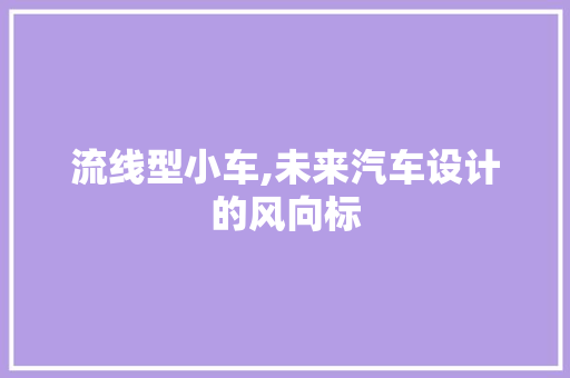 流线型小车,未来汽车设计的风向标