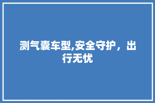 测气囊车型,安全守护，出行无忧