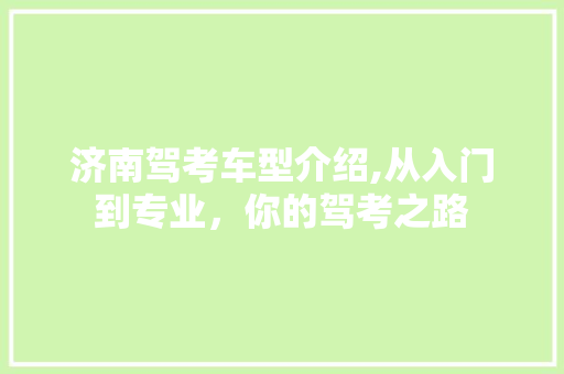 济南驾考车型介绍,从入门到专业，你的驾考之路