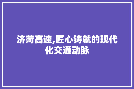 济菏高速,匠心铸就的现代化交通动脉