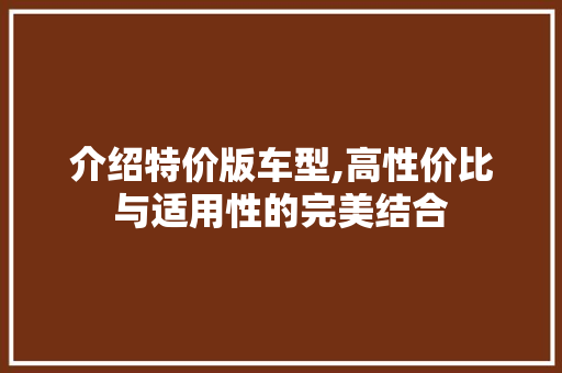 介绍特价版车型,高性价比与适用性的完美结合