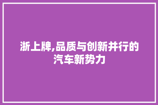 浙上牌,品质与创新并行的汽车新势力