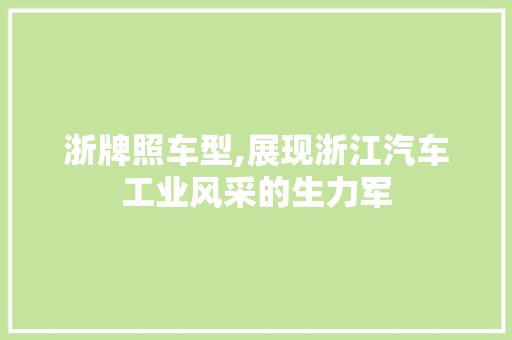 浙牌照车型,展现浙江汽车工业风采的生力军