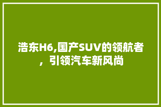 浩东H6,国产SUV的领航者，引领汽车新风尚
