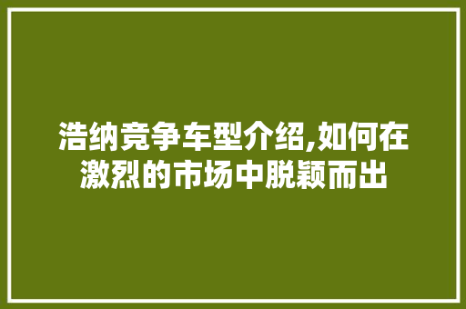 浩纳竞争车型介绍,如何在激烈的市场中脱颖而出